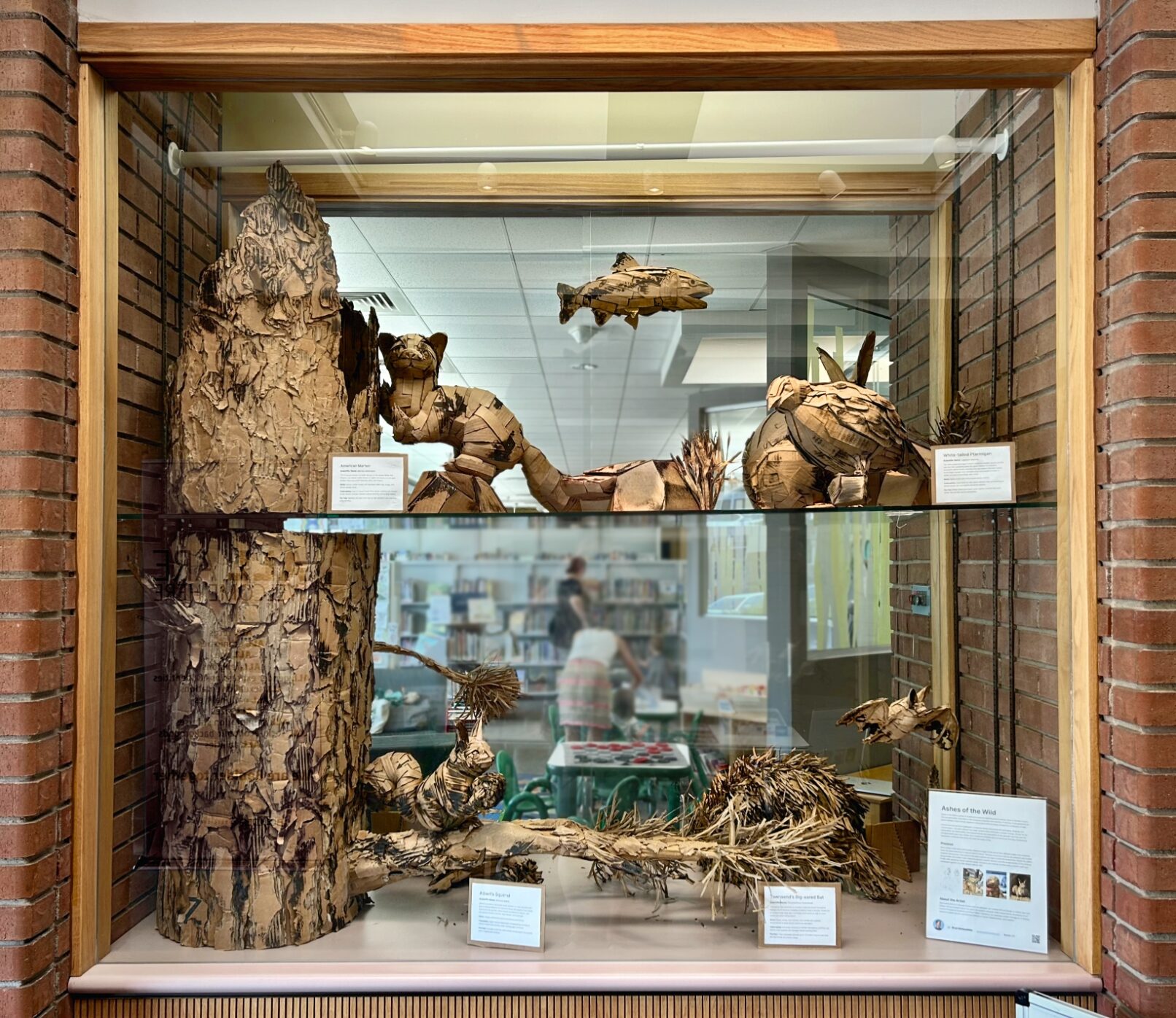 Ashes in the Wild series on display Aug 2026