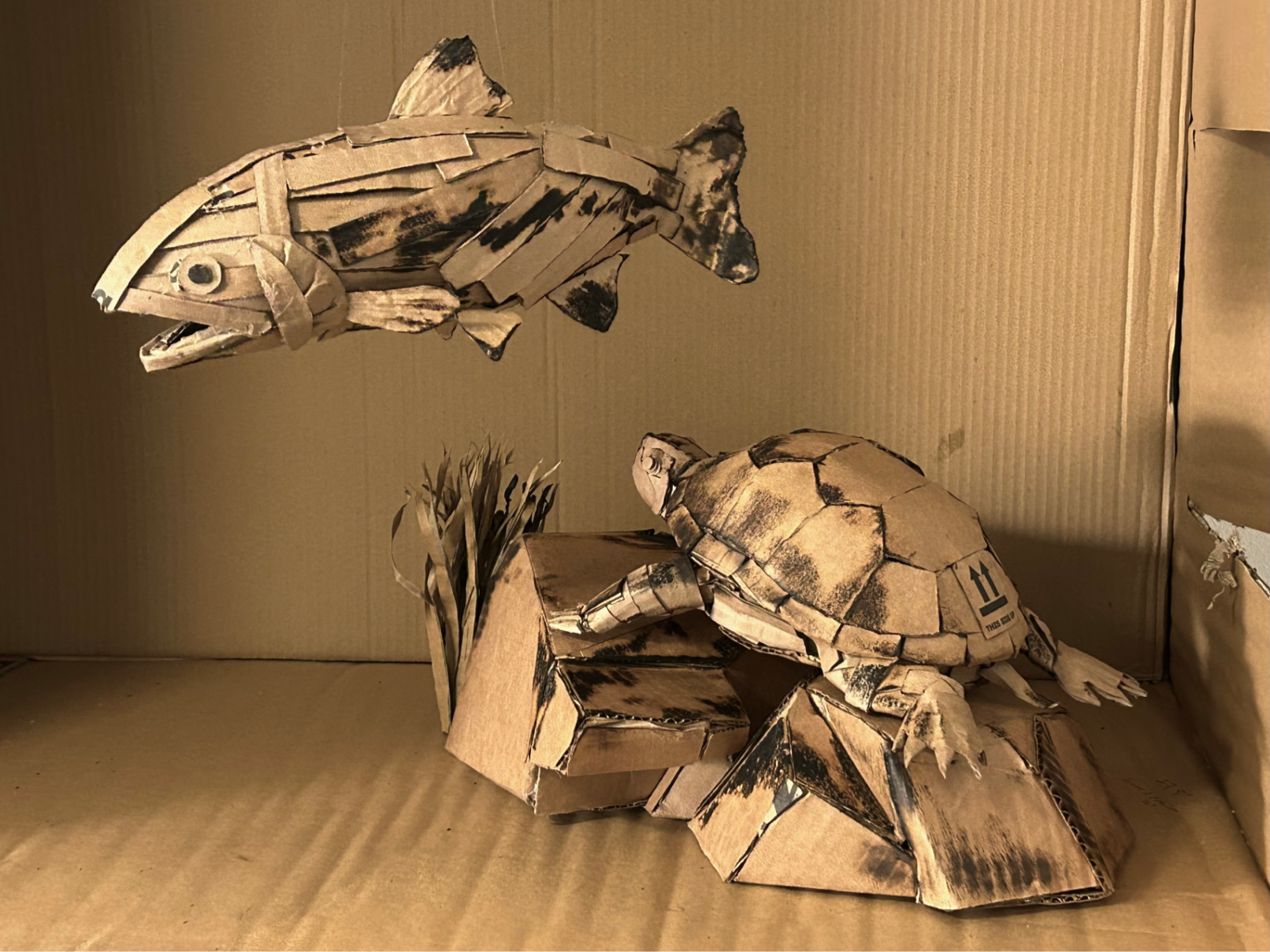 cardboard cutthroat trout and western painted turtle